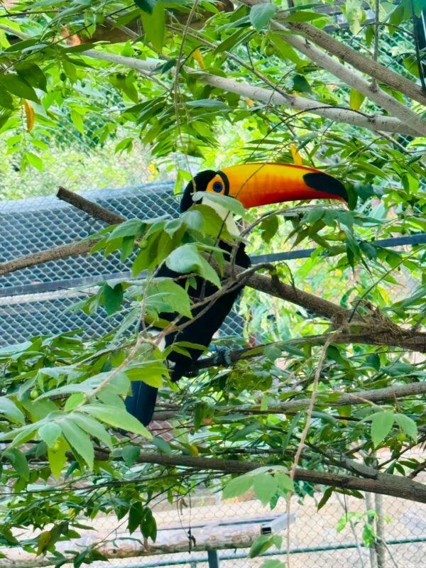 Hambantota Bird Centre - image 1