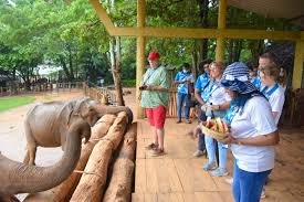 Pinnawala Elephant Orphanage view 2