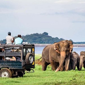 Yala National Park